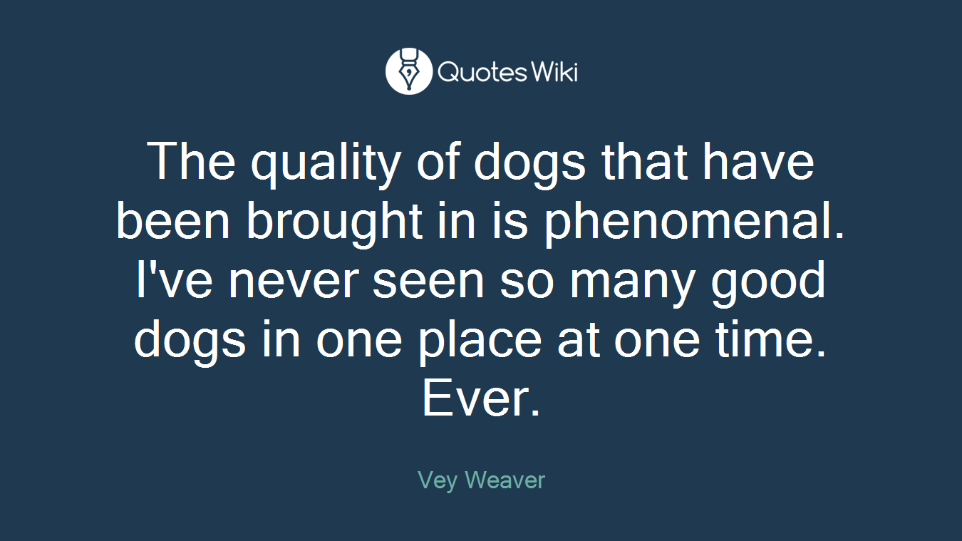 The quality of dogs that have been brought in is phenomenal. I've never seen so many good dogs in one place at one time. Ever.