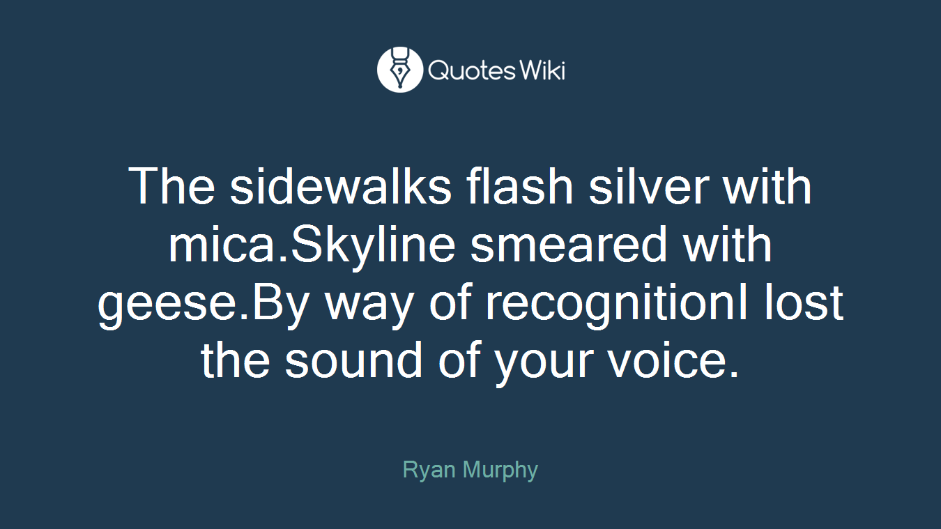 The sidewalks flash silver with mica.Skyline smeared with geese.By way of recognitionI lost the sound of your voice.