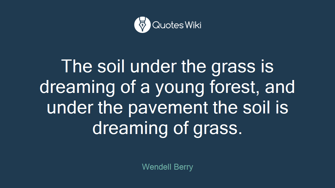 The soil under the grass is dreaming of a young forest, and under the pavement the soil is dreaming of grass.