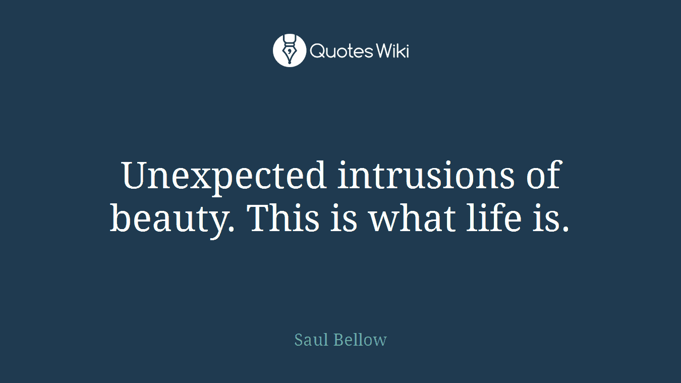 Unexpected intrusions of beauty. This is what life is.