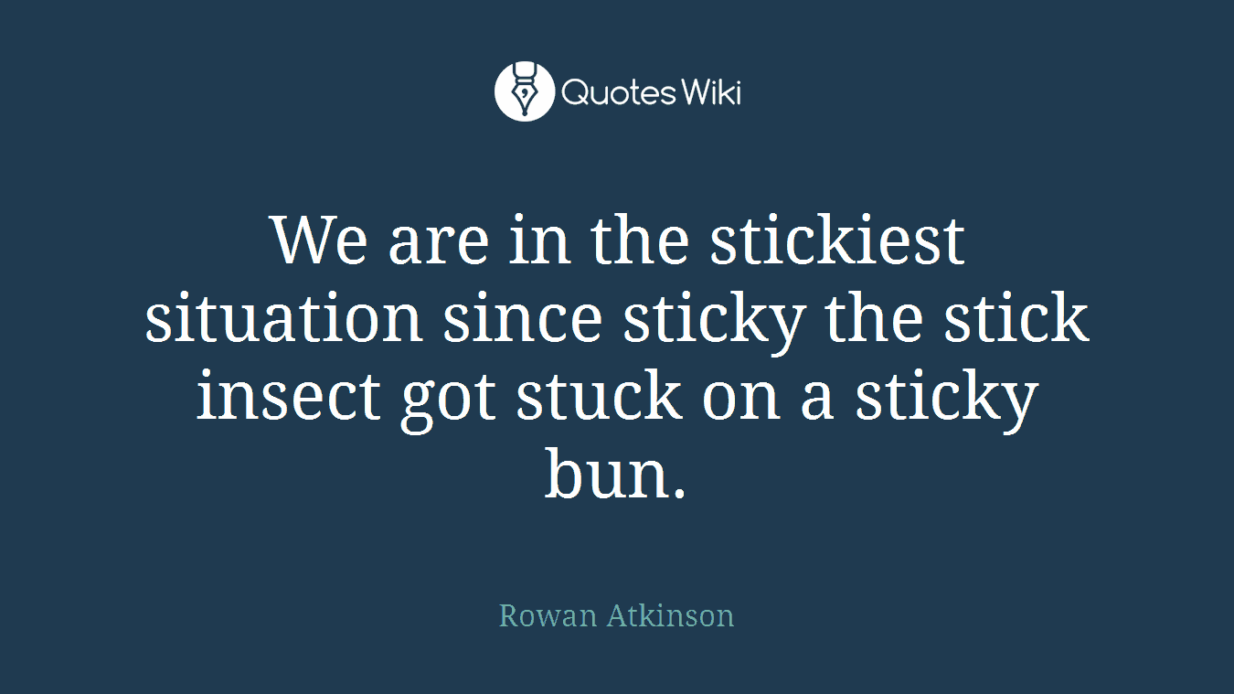 We are in the stickiest situation since sticky the stick insect got stuck on a sticky bun.