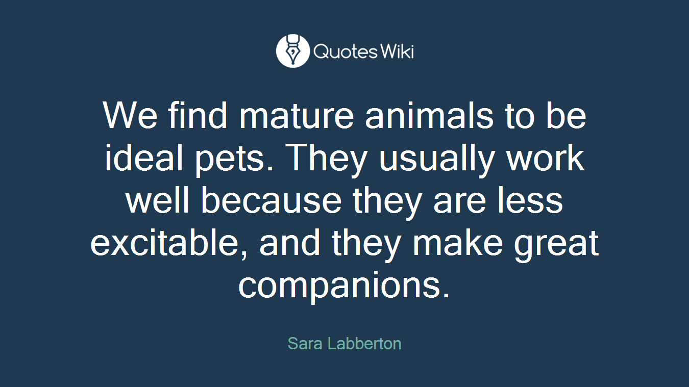 We find mature animals to be ideal pets. They usually work well because they are less excitable, and they make great companions.