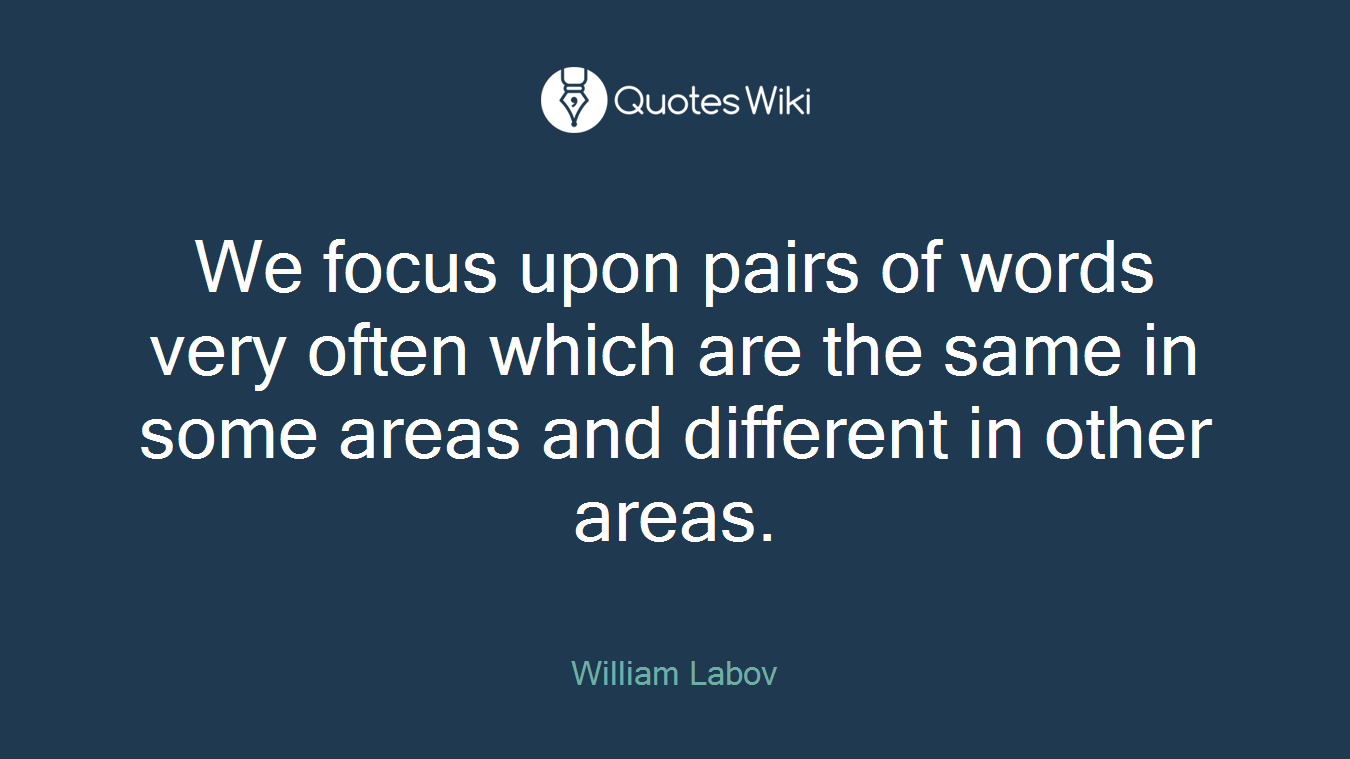 We focus upon pairs of words very often which are the same in some areas and different in other areas.