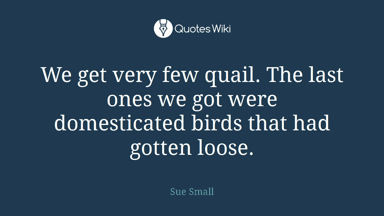 We get very few quail. The last ones we got were domesticated birds that had gotten loose.