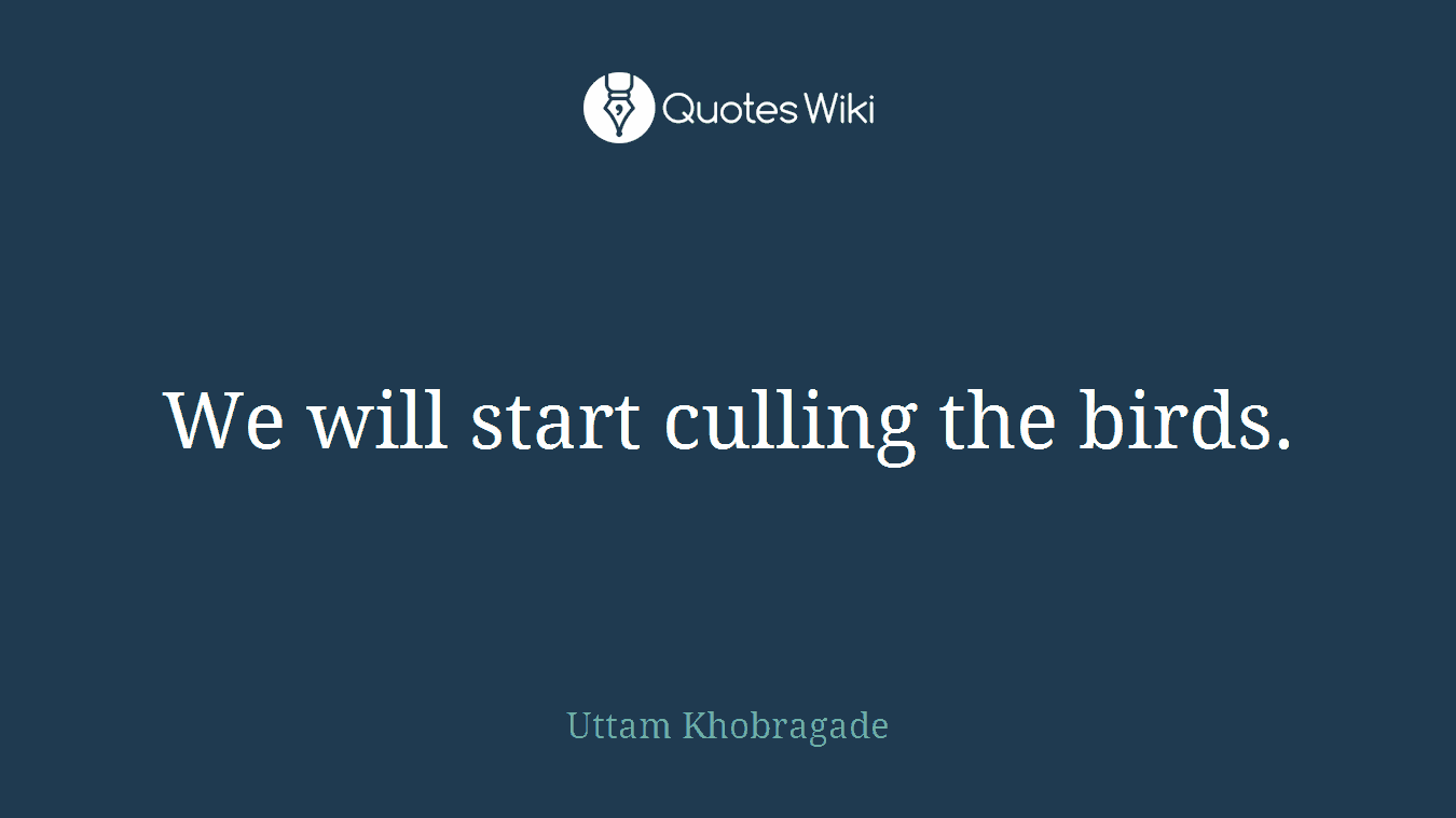 We will start culling the birds.
