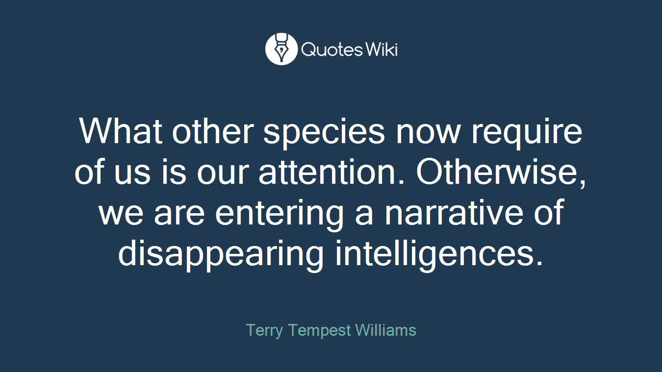 What other species now require of us is our attention. Otherwise, we are entering a narrative of disappearing intelligences.
