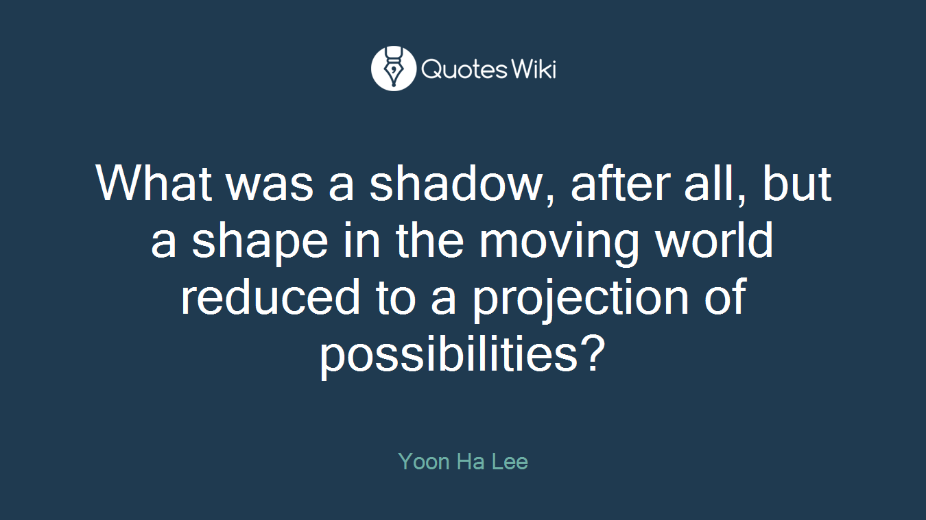 What was a shadow, after all, but a shape in the moving world reduced to a projection of possibilities?