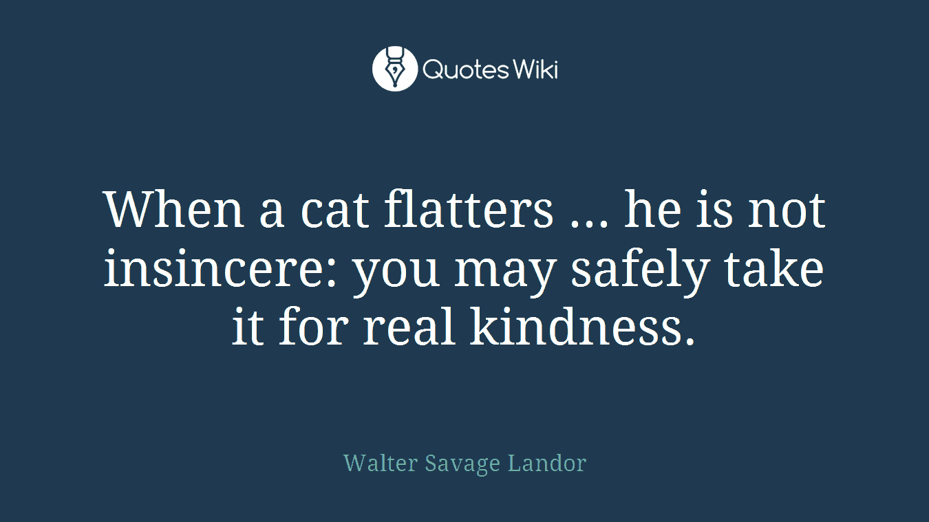 When a cat flatters ... he is not insincere: you may safely take it for real kindness.
