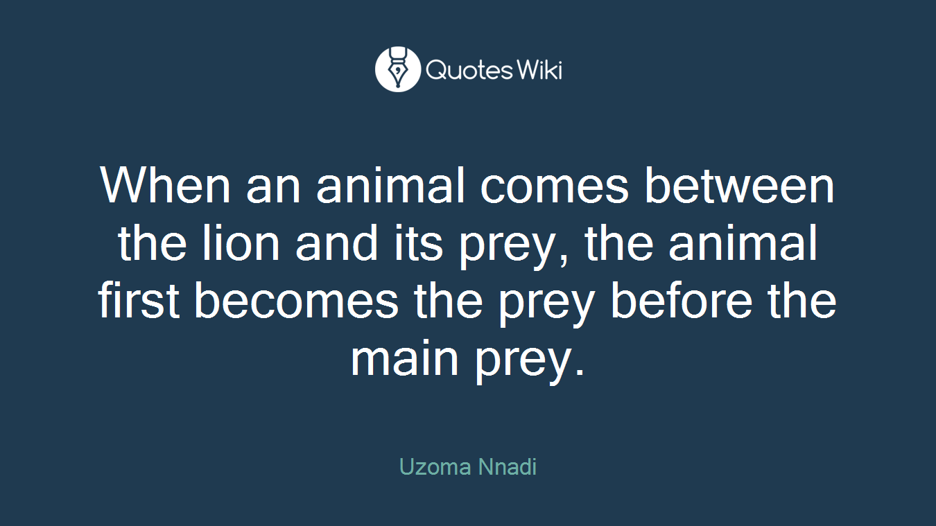 When an animal comes between the lion and its prey, the animal first becomes the prey before the main prey.