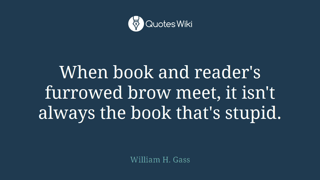 When book and reader's furrowed brow meet, it isn't always the book that's stupid.