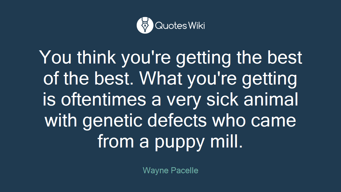 You think you're getting the best of the best. What you're getting is oftentimes a very sick animal with genetic defects who came from a puppy mill.